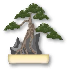 Bonsai thế bám đá (Seki-joju)