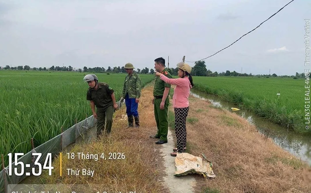 Học thực địa sinh viên học côn trùng ngoài đồng ruộng