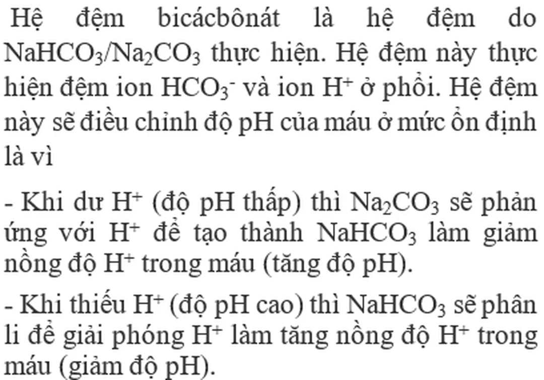 Sơ đồ côn trùng hô hấp bằng hệ thống ống khí qua lỗ thở