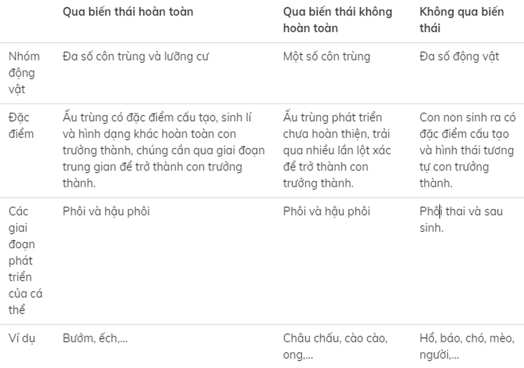 So sánh các kiểu biến thái côn trùng so sánh biến thái hoàn toàn và không hoàn toàn