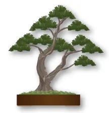 Bonsai thế thân đôi (Sokan)