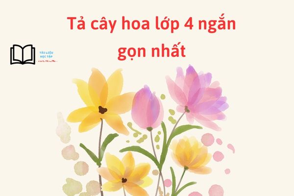 Bài Văn Tả Về Cây Hoa Hồng Lớp 4 Ngắn Gọn Đạt Điểm Cao