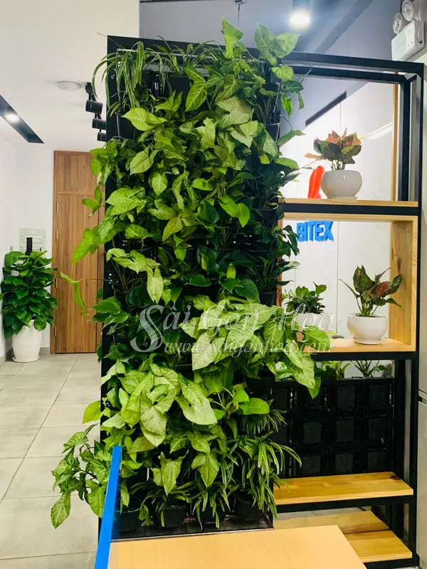 Tường cây văn phòng