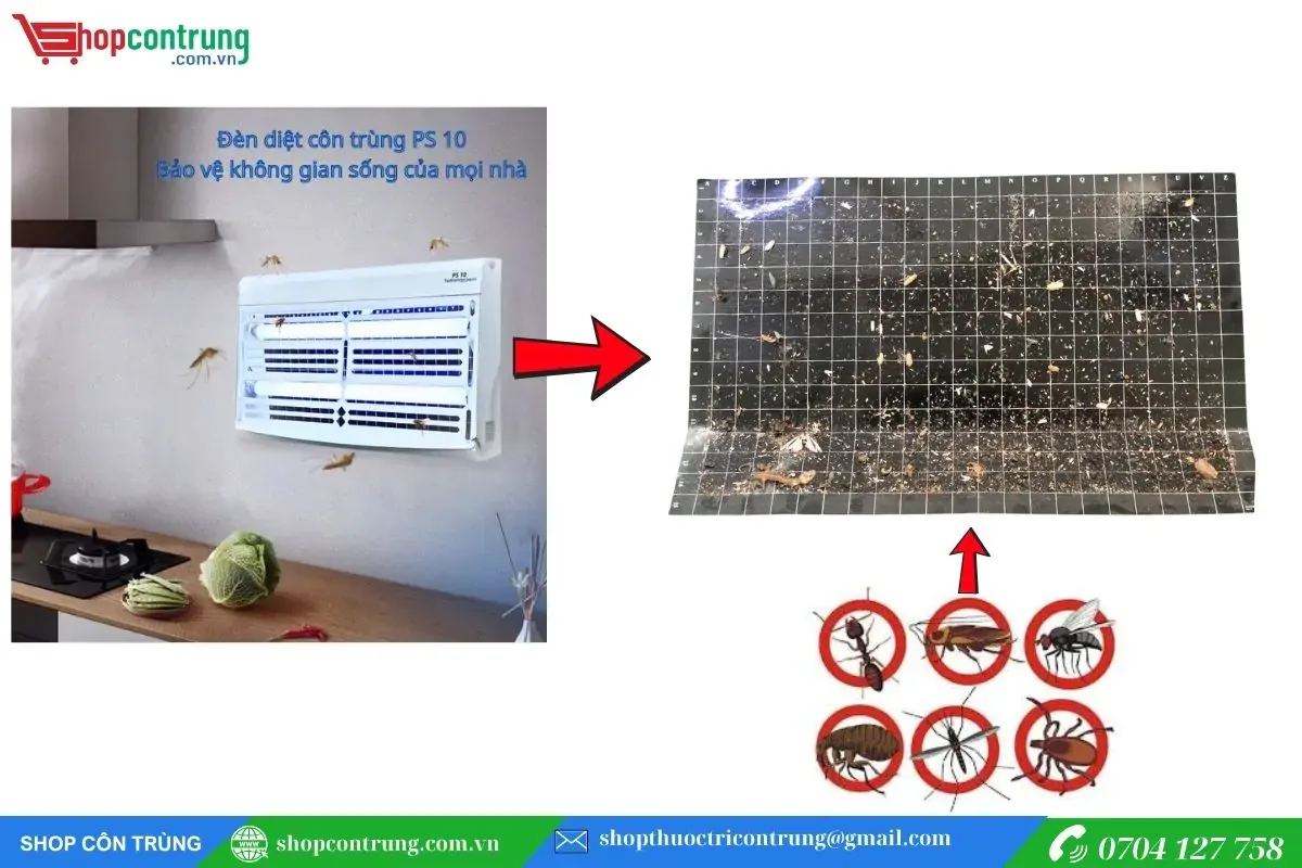 Lắp đặt tấm keo dính côn trùng