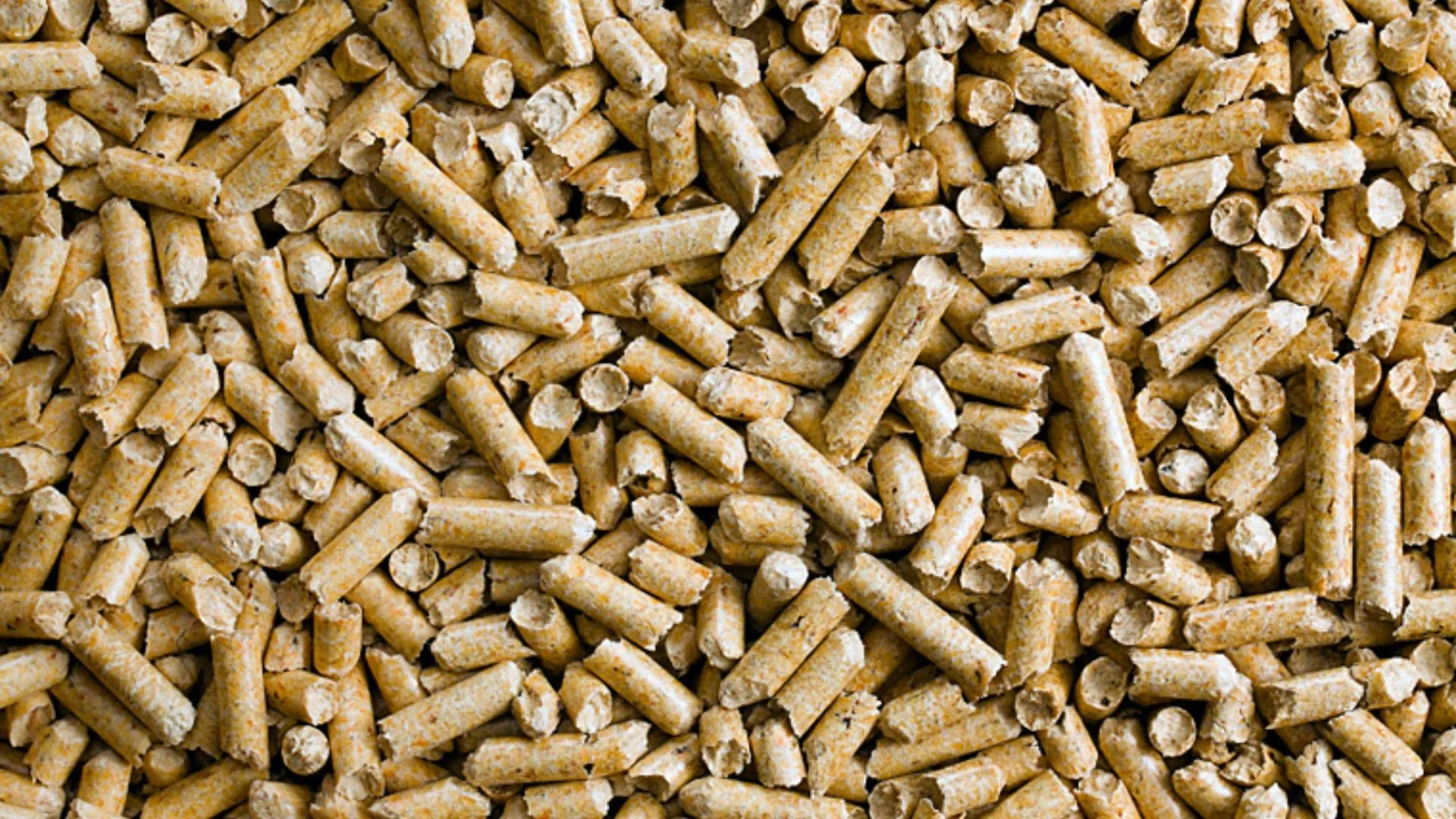 Viên nén gỗ thành phẩm đạt tiêu chuẩn xuất khẩu sang thị trường EU