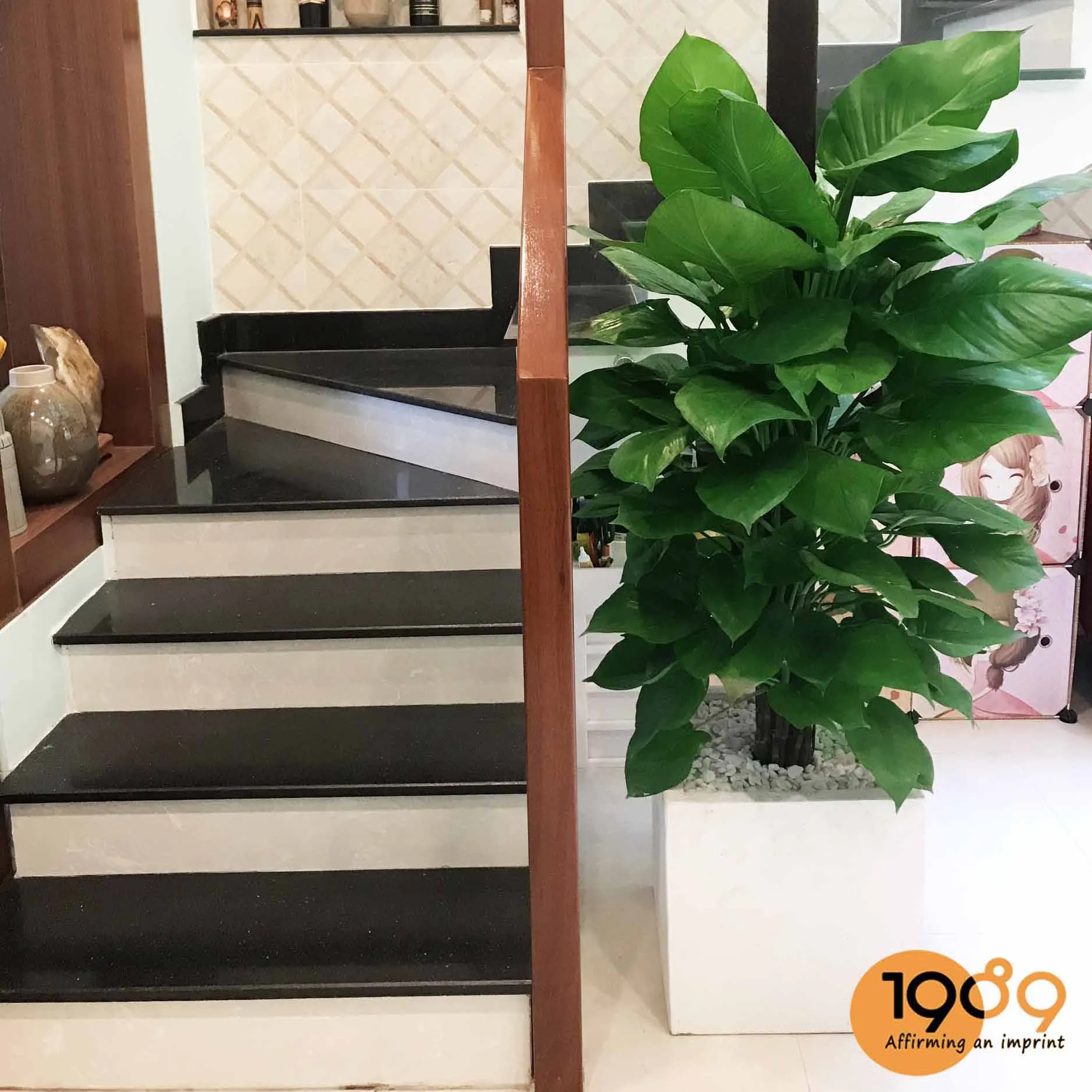 chậu xi măng đá mài vuông