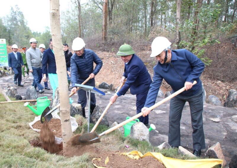 Kế Hoạch Tết Trồng Cây Xuân Bính Ngọ Năm 2026