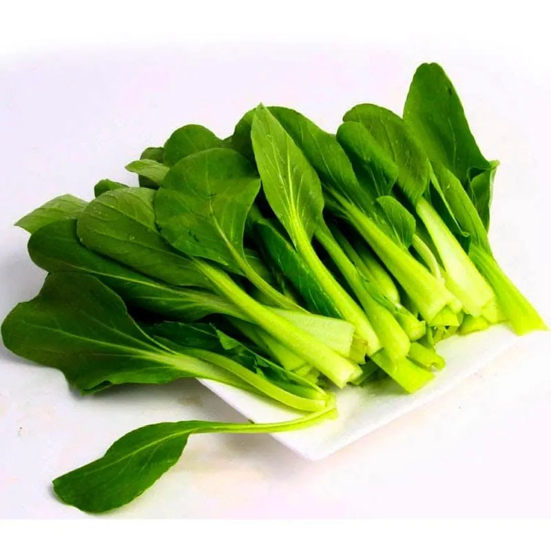 Rau cải ngọt phát triển xanh tốt nhờ kỹ thuật chăm sóc đúng cách