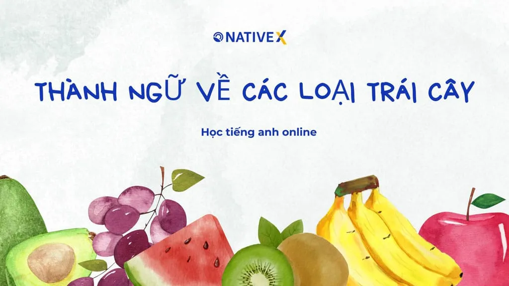 Học thành ngữ tiếng anh thông qua hình ảnh các loại trái cây