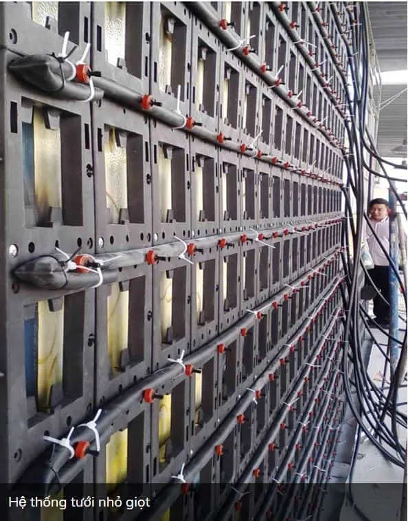 Thi công đường dẫn nước và đầu phun cho vườn tường