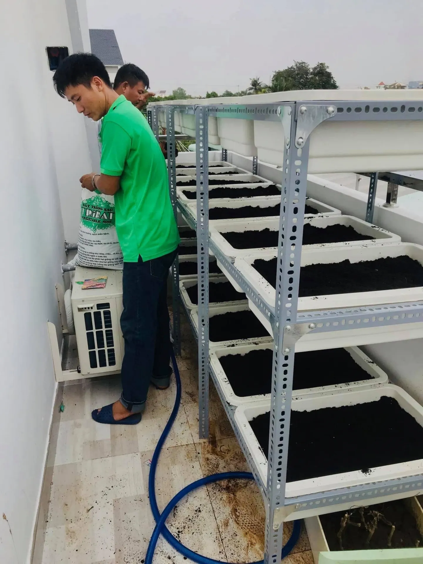 Kệ trồng rau đã bố trí đầy đủ cây