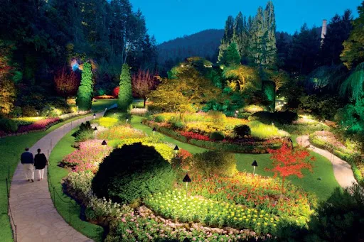 Hệ thống đèn chiếu sáng tăng tính thẩm mỹ