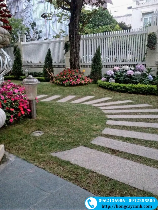 Thiết kế tiểu cảnh sân vườn đẹp