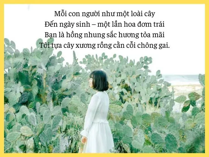 Chậu xương rồng nhỏ trên bãi cát trắng tượng trưng cho tình yêu bền bỉ