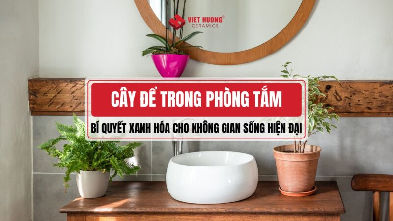 Cây Hoa Leo Tường Đẹp Giúp Nâng Tầm Không Gian Sống