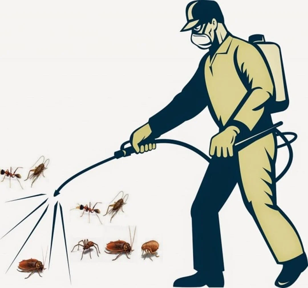 thuốc diệt côn trùng sinh học từ nguyên liệu tự nhiên cho vườn nhà