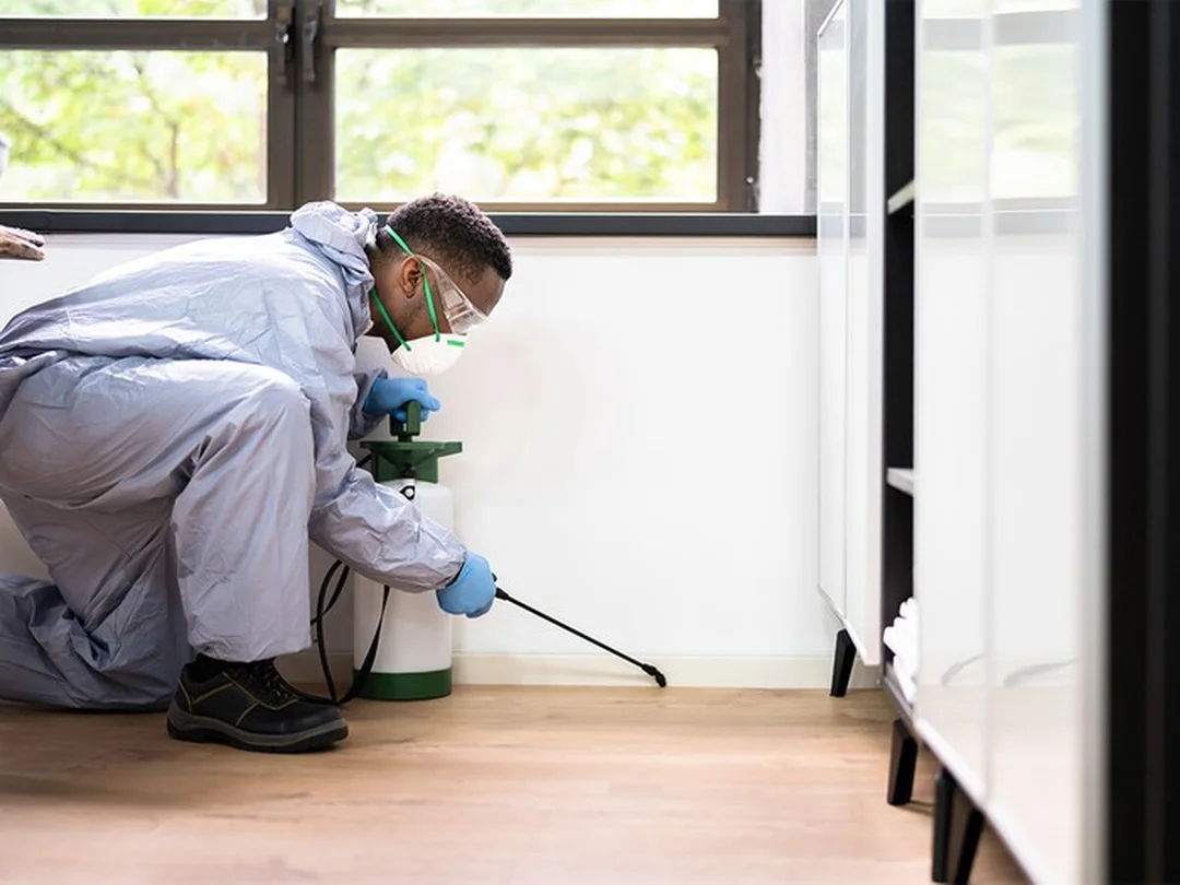 Thuốc diệt côn trùng trong nhà khi người dùng tự phun quá rộng và quá dày Thuốc diệt côn trùng trong nhà khi người dùng tự phun quá rộng và quá dày
