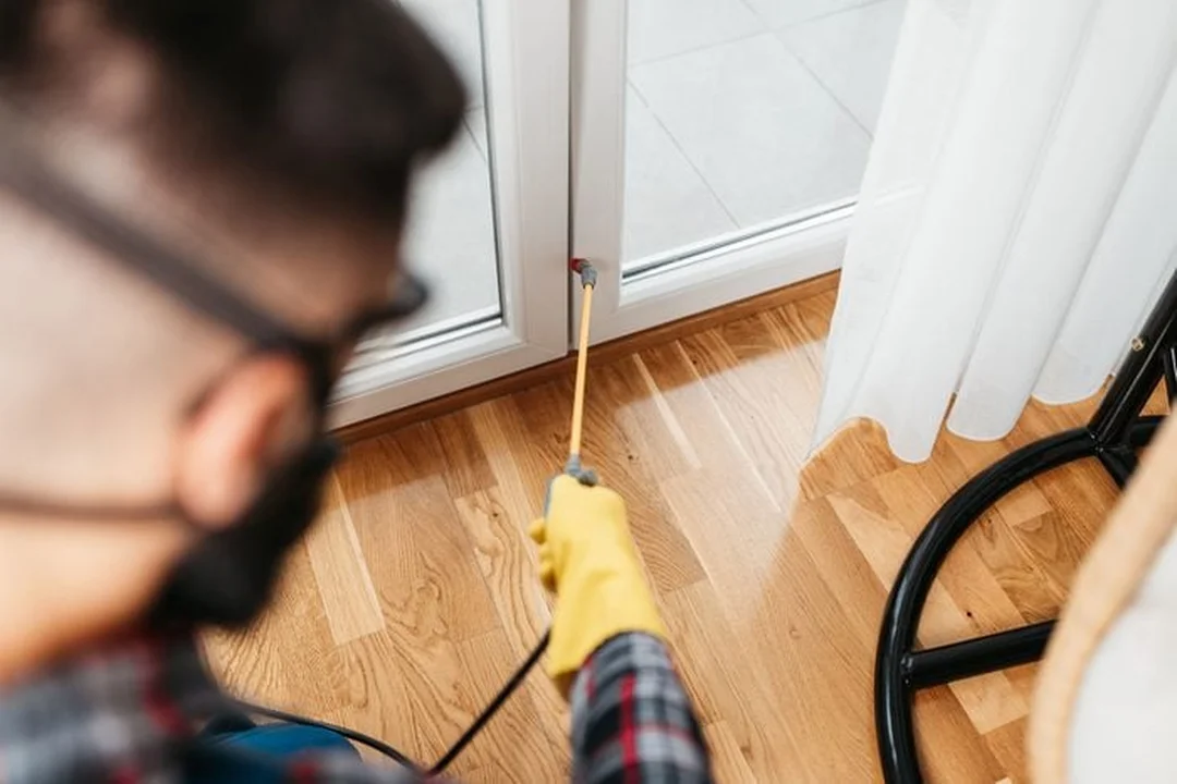 Thuốc diệt côn trùng trong nhà khi phun đúng điểm ở chân tường và góc tối Thuốc diệt côn trùng trong nhà khi phun đúng điểm ở chân tường và góc tối