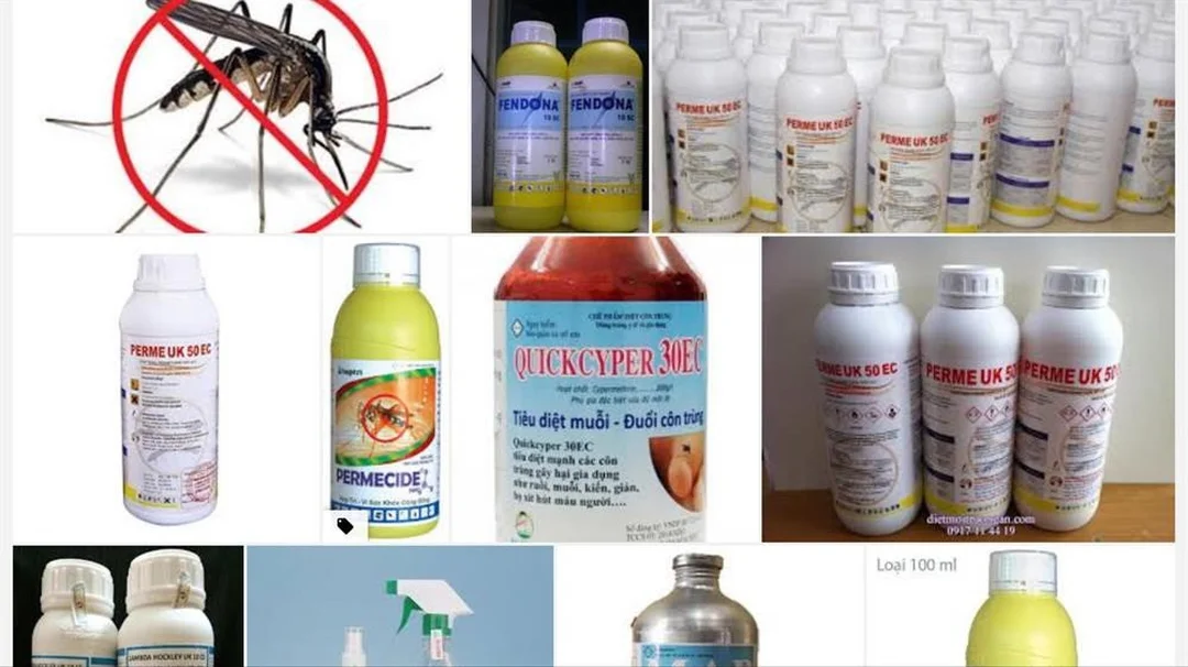 Thuốc diệt côn trùng trong nhà nên giao cho dịch vụ khi cần xử lý diện rộng Thuốc diệt côn trùng trong nhà nên giao cho dịch vụ khi cần xử lý diện rộng