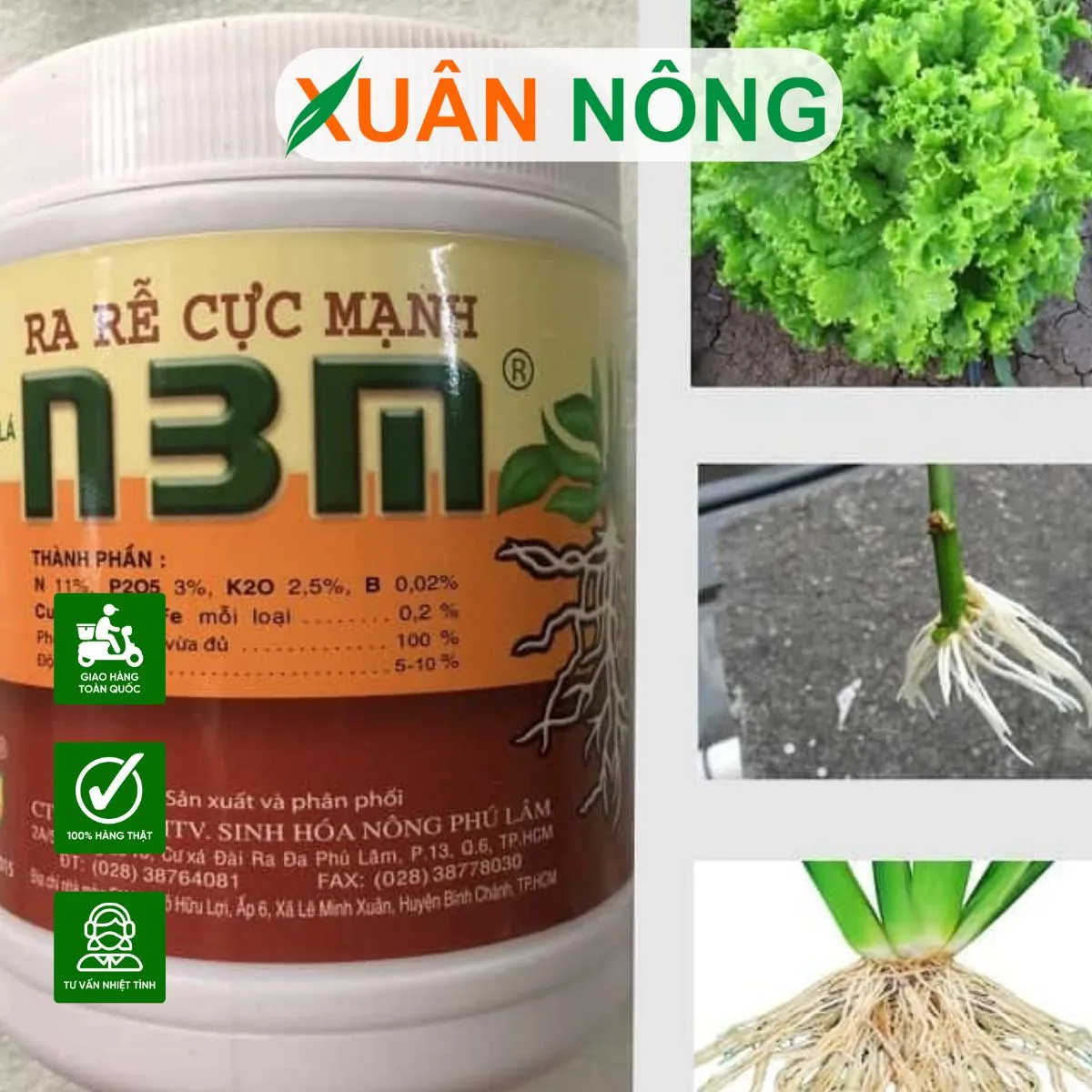 Kiểm tra sự phát triển của rễ sau khi sử dụng thuốc kích thích