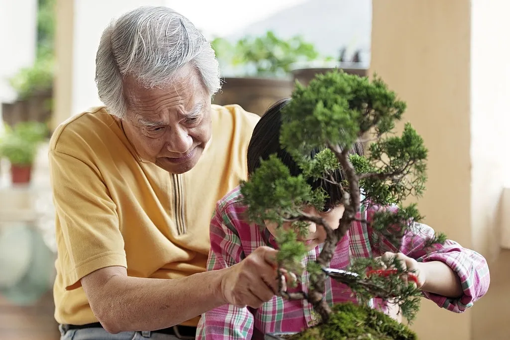 Thường xuyên cắt tỉa cây cảnh