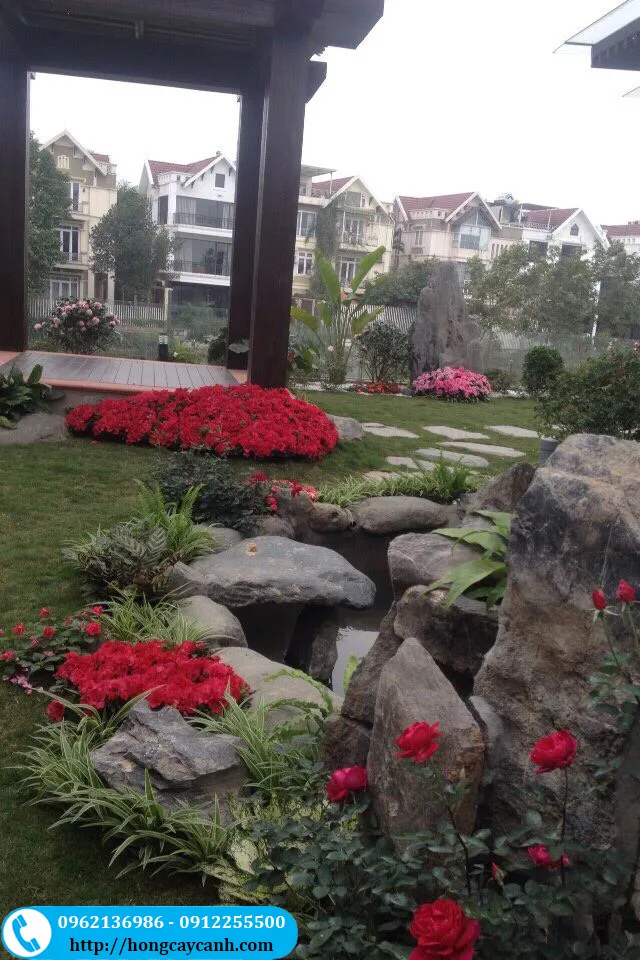 Nhận dịch vụ trang trí tiểu cảnh đẹp