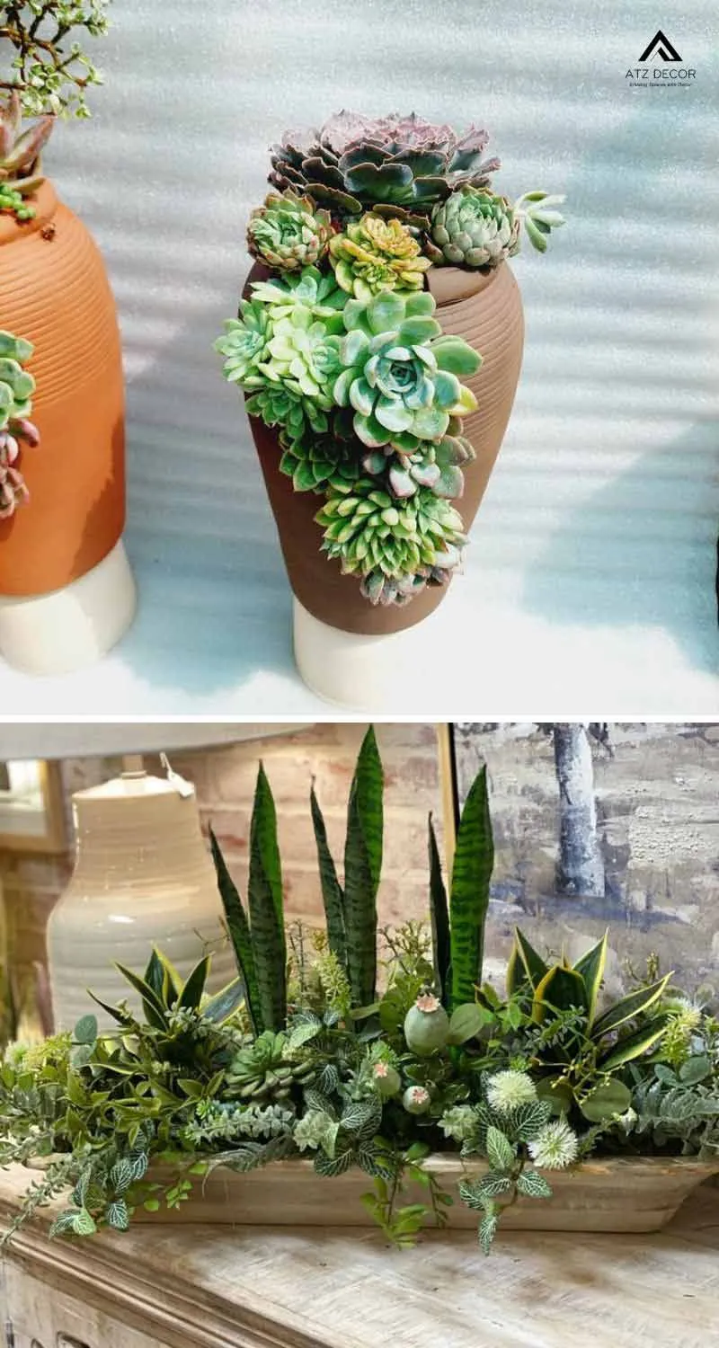 Những mẫu tiểu cảnh mix sen đá đẹp