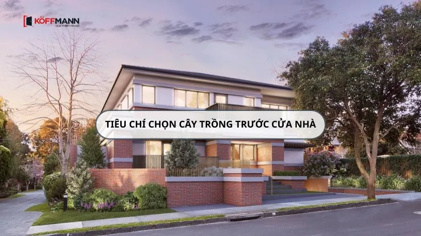 Những tiêu chí quan trọng khi chọn cây cảnh trồng trước cửa nhà