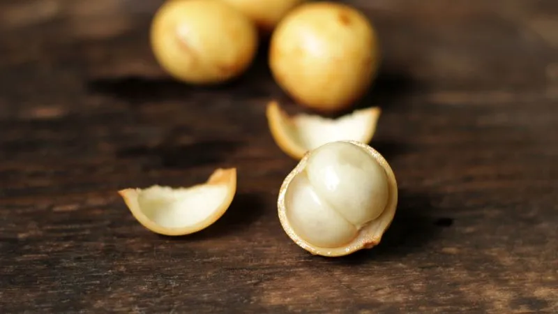 Dâu da vàng múi to tròn