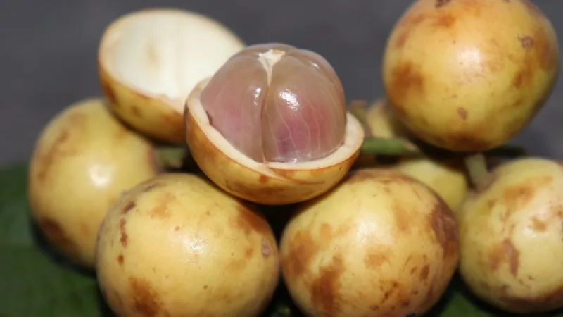 Múi dâu da mọng nước