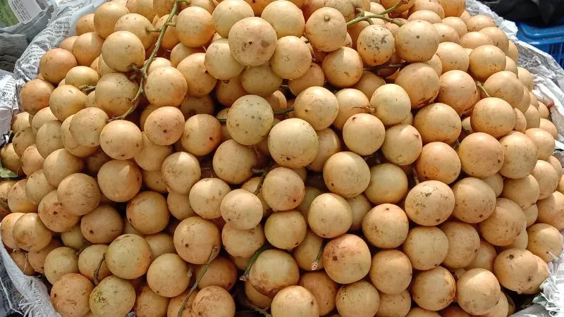 Mâm dâu da vàng đầy ắp