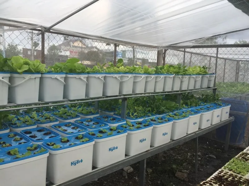 Vật tư thực hiện