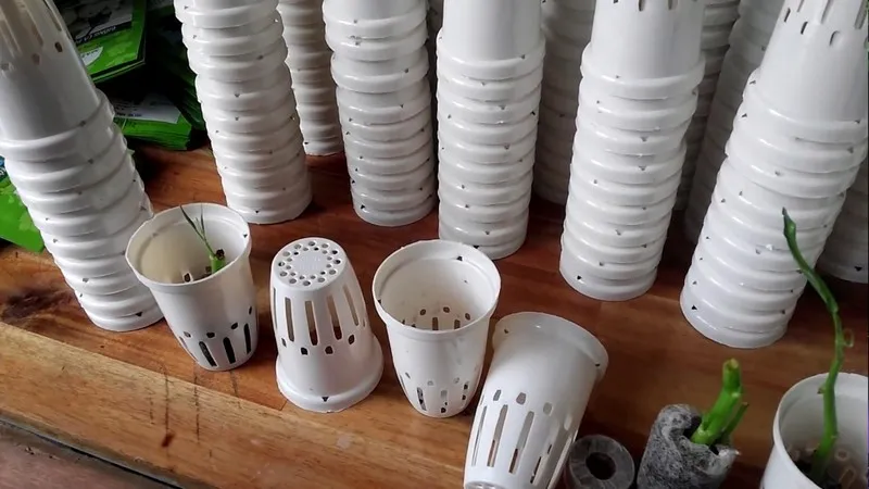 Giá thể thủy canh