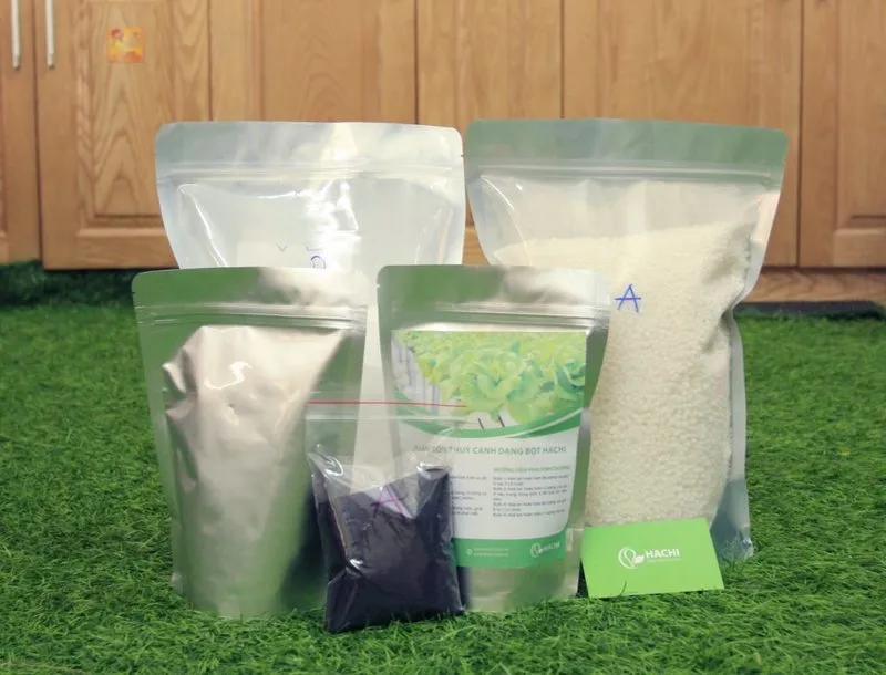 Cách trồng rau thủy canh tại nhà