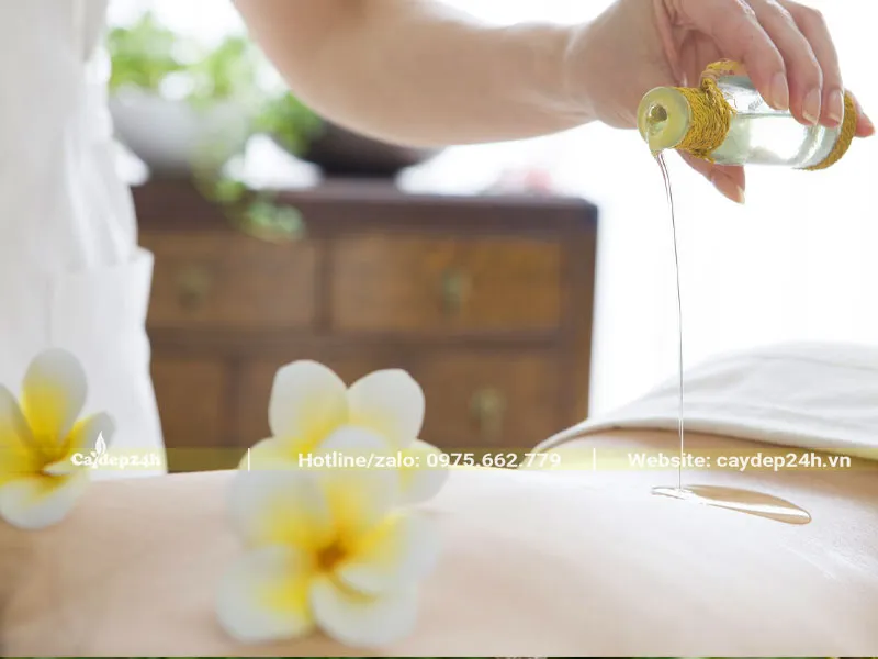 Dùng tinh dầu hoa đại để massage cơ thể