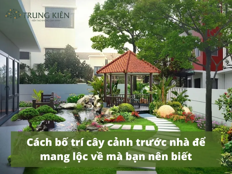 Cách bố trí cây cảnh trước nhà để mang lộc về mà bạn nên biết
