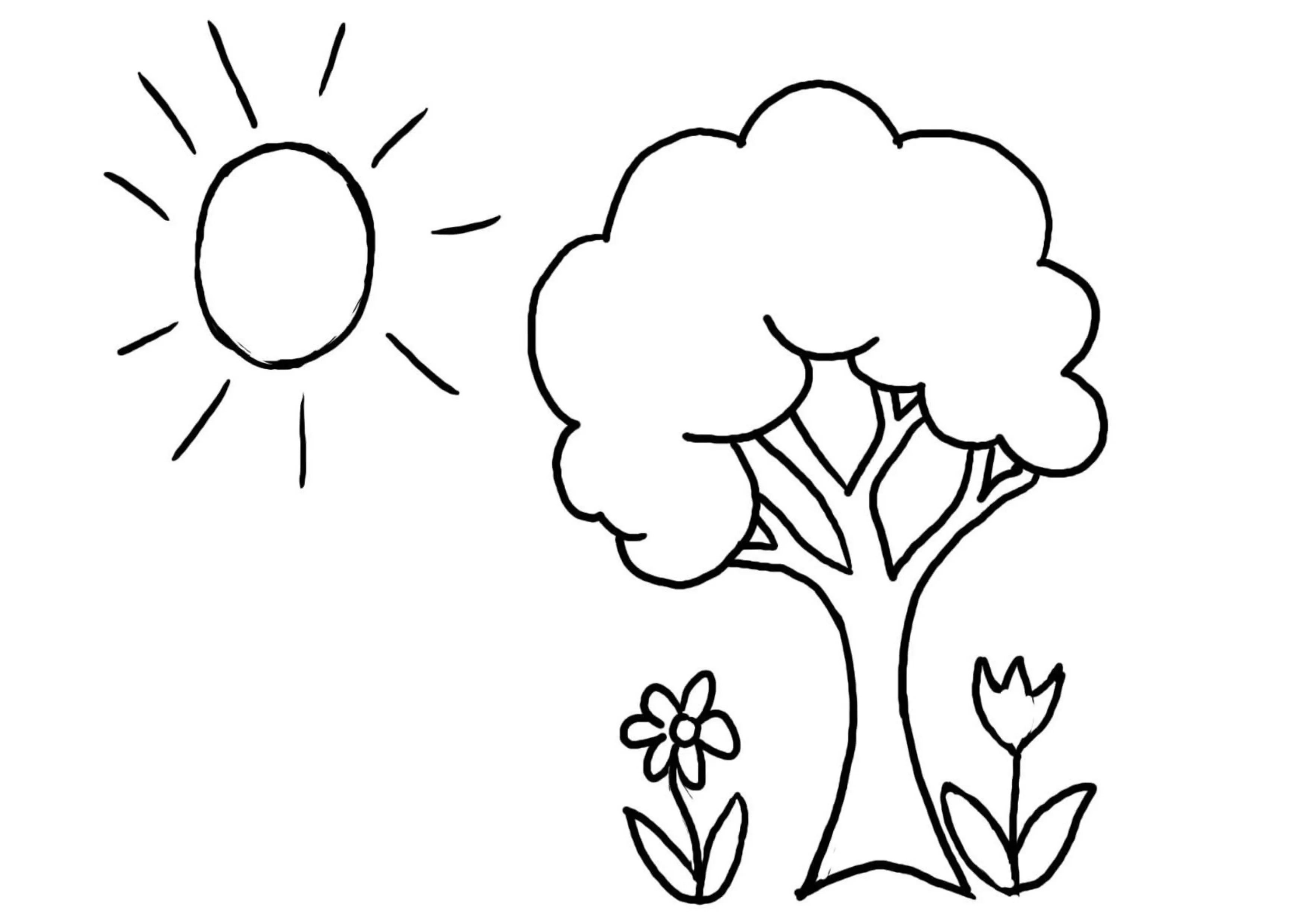 Tô màu cây xanh và mặt trời