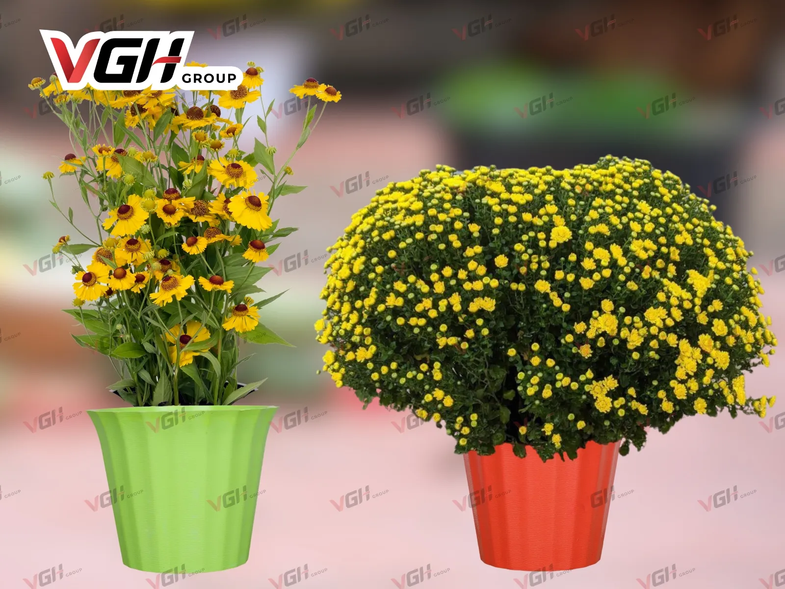 Chậu nhựa tròn trồng cây cỡ nhỏ và trung trang trí để bàn, kệ gỗ, bậc tam cấp,…