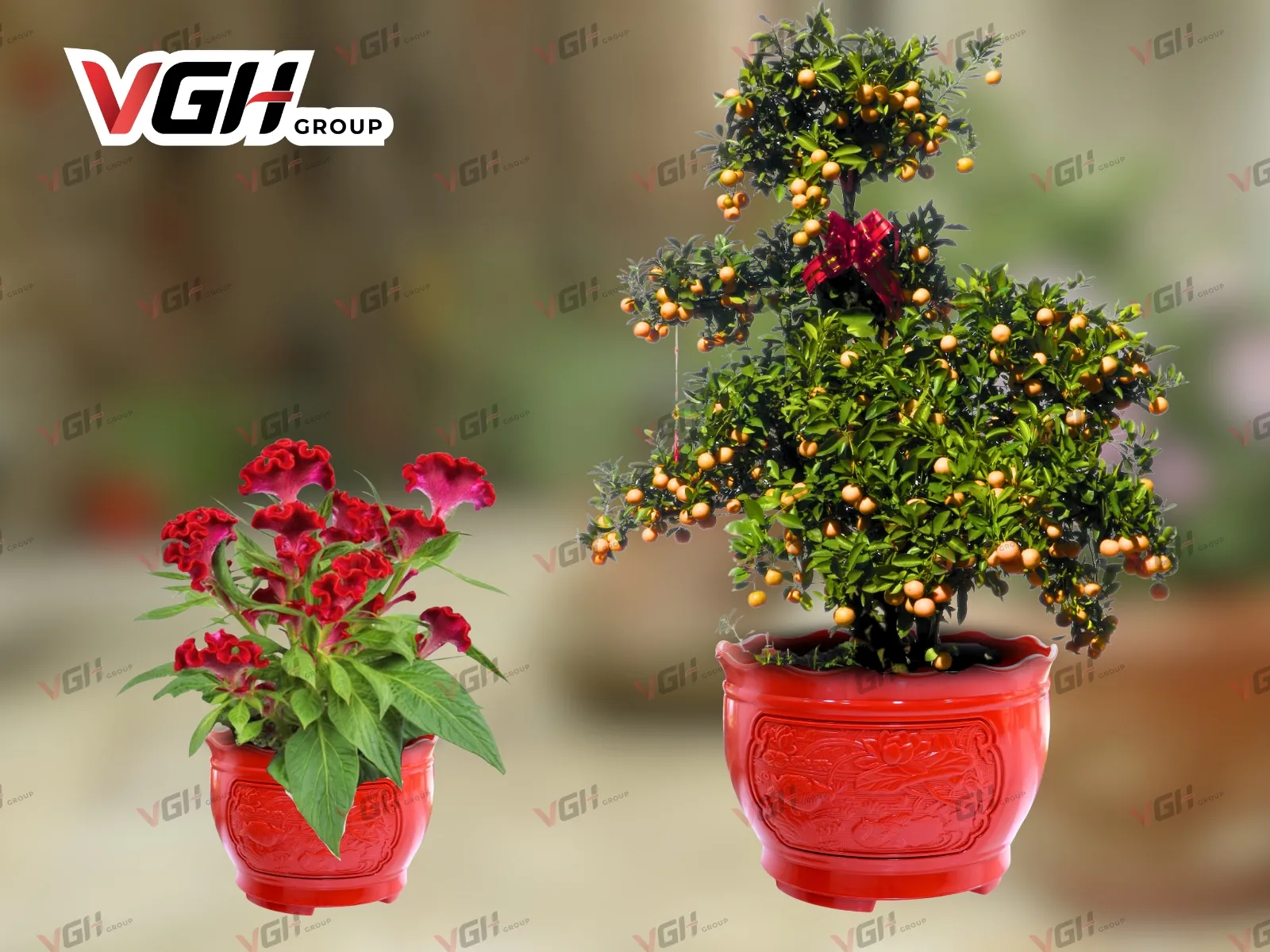 Chậu nhựa tròn trồng cây kiểu Uyên Ương mang nét đẹp cổ điển