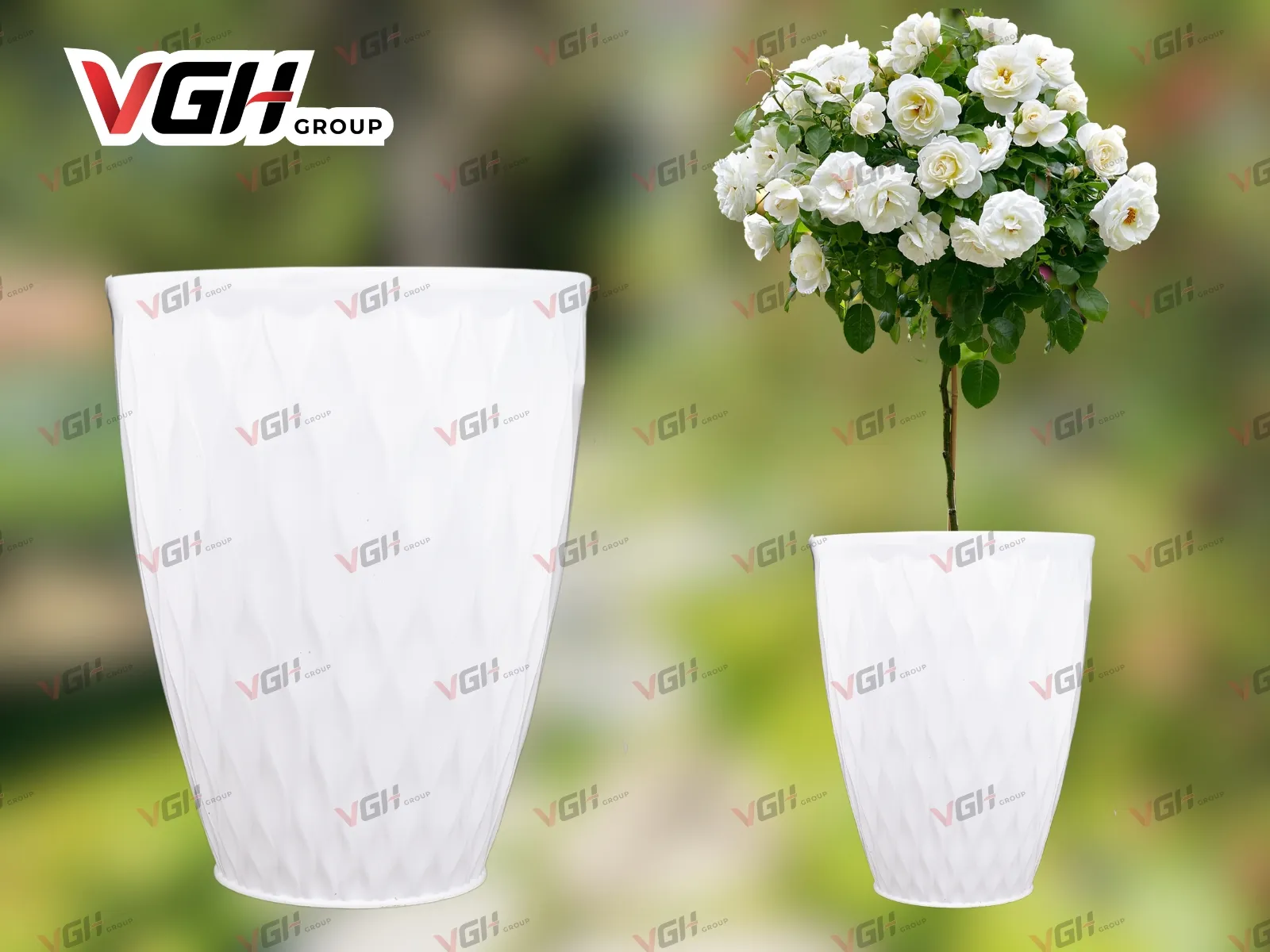 Chậu nhựa tròn cao sang trọng và tinh tế