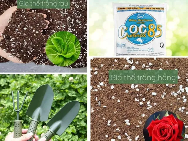 Các loại hạt giống và đất sạch Namix tại cửa hàng An An Bình Thạnh