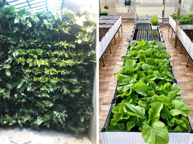 Hệ thống thoát nước và vật tư nông nghiệp Quang Anh quận Bình Thạnh