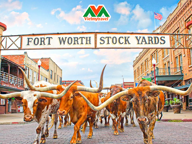 Du Lịch Chính Thương Vườn Trái Cây: Khám Phá Thiên Nhiên & Hương Vị Việt Nam