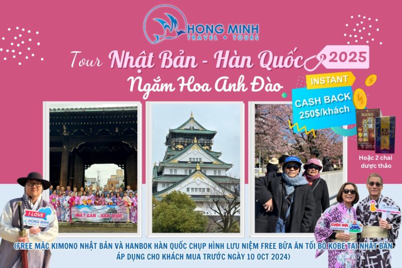 Khám Phá Hình Ảnh Cây Hoa Hồi: Vẻ Đẹp Từ Cánh Đồng Đến Bàn Ăn