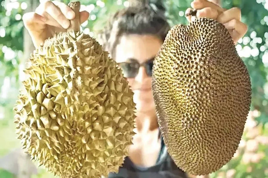 Mít và sầu riêng là các loại quả không phù hợp để cúng lễ
