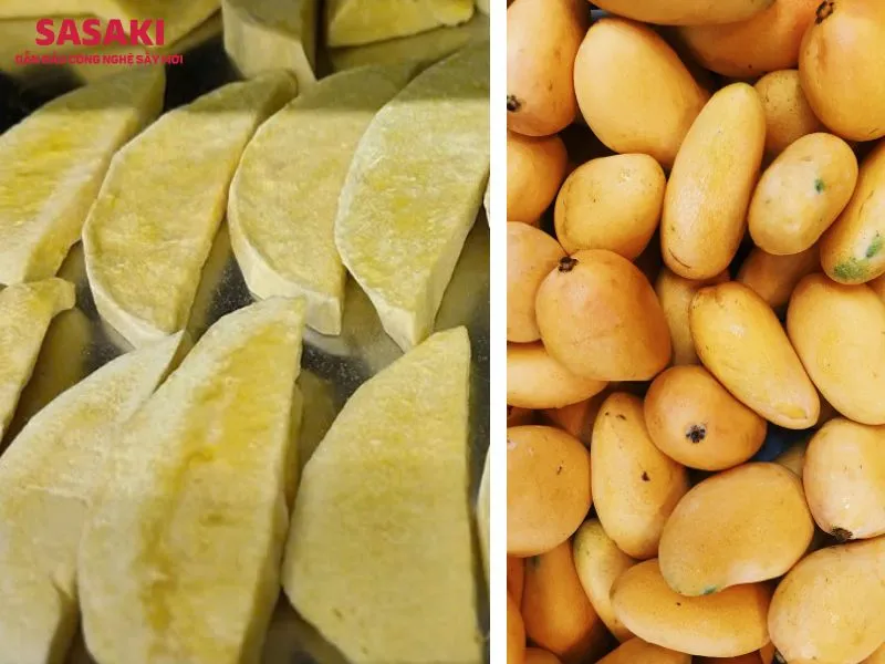 Xoài sấy thăng hoa giữ nguyên màu sắc và hình dạng