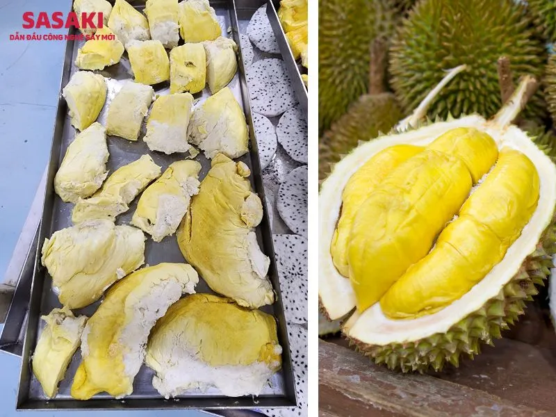 Sầu riêng sấy thăng hoa giữ trọn hương vị