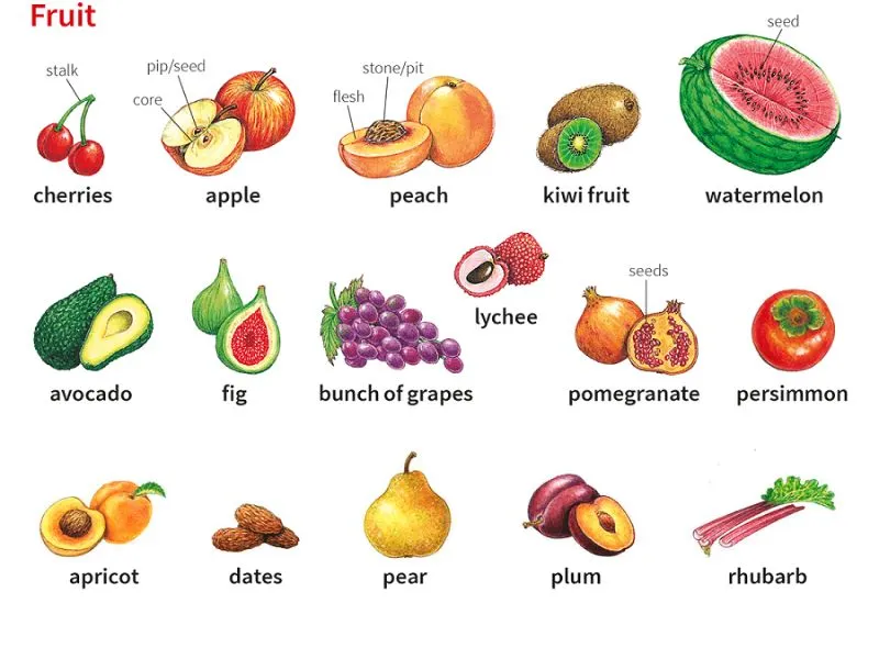 Trái cây nhiệt đới đa sắc màu