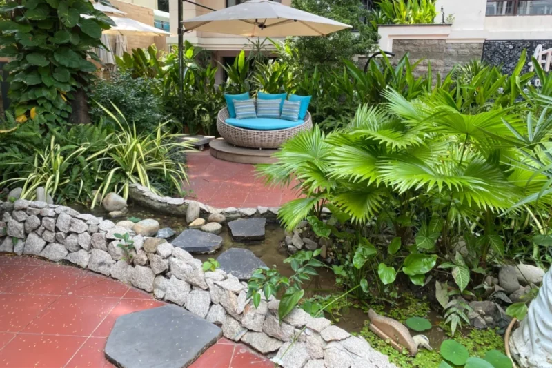 Biến Không Gian Sống Xanh Mát Với Nghệ Thuật Trang Trí Cây Xanh Trong Nhà