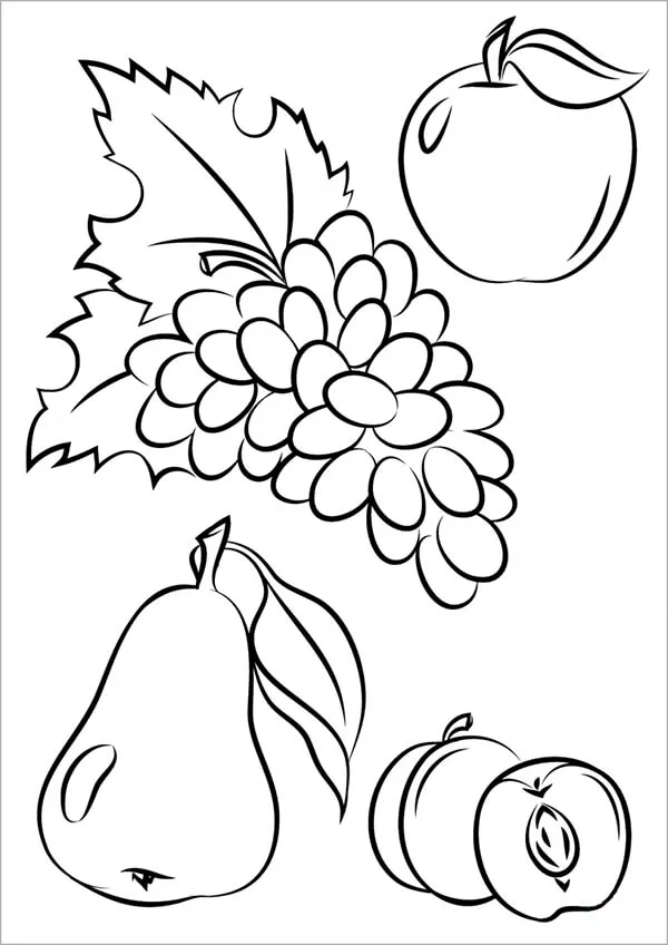 Một số loại quả cơ bản giúp trẻ làm quen với các khái niệm thực vật học đầu tiên